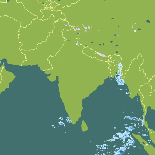 Map with India in the center and a precipitation layer on top.